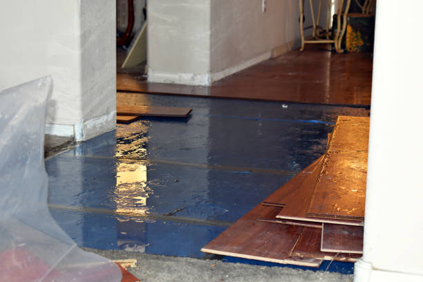Professional Water Damage Restoration technician working in Worthing, SD